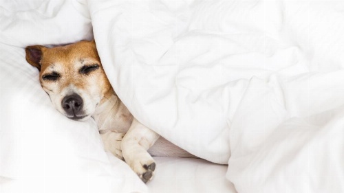 Inn of Loudon image 12